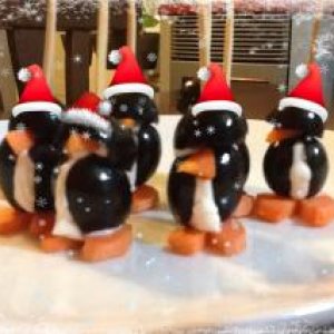Little penguins waiting to be eaten