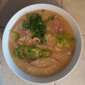 2017 02 23 17.32.07 vietnamese chicken and rice soup