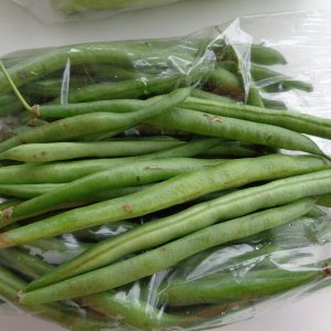 From the KCC Farmer's Market, locally grown Blue Lake Green Beans