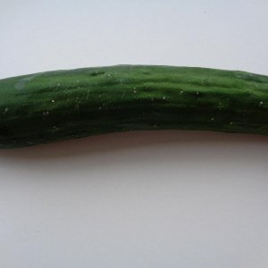 From the KCC Farmer's Market, locally grown, Japanese Cucumber, the best Cucumber you'll ever eat, EVER!!