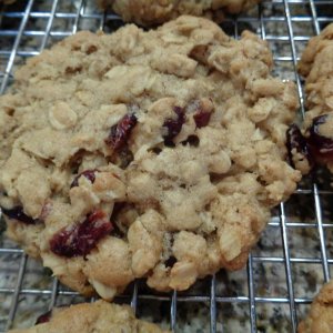 ATK Chewy Oatmeal Cookie