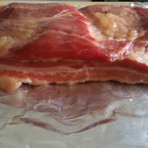 Bacon 7 4 19