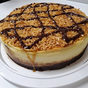 Samoa Brownie bottom cheesecake
