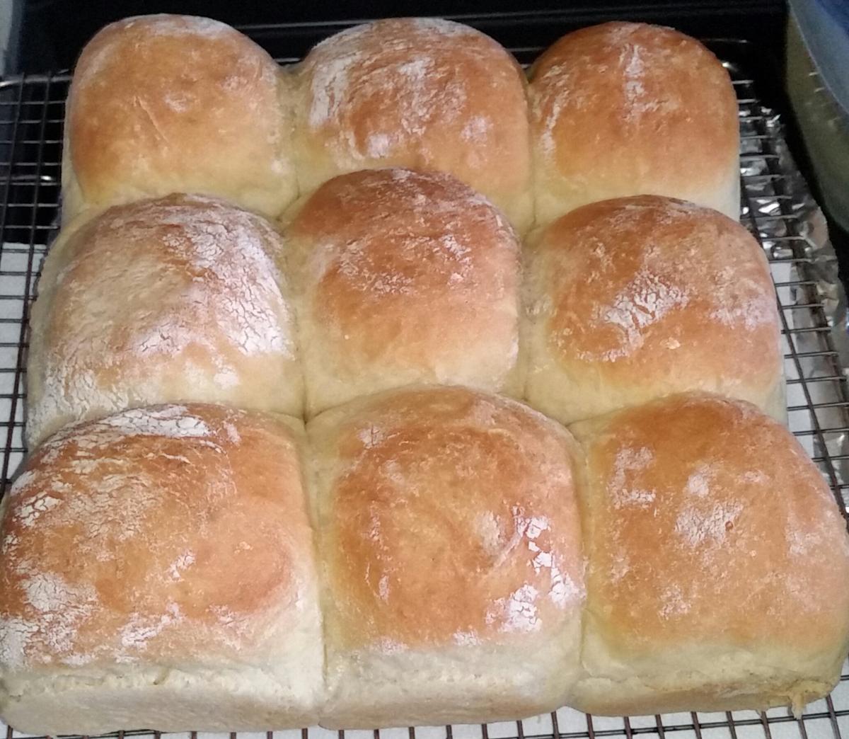 2018 06 11 17.23.47 fluffy buns