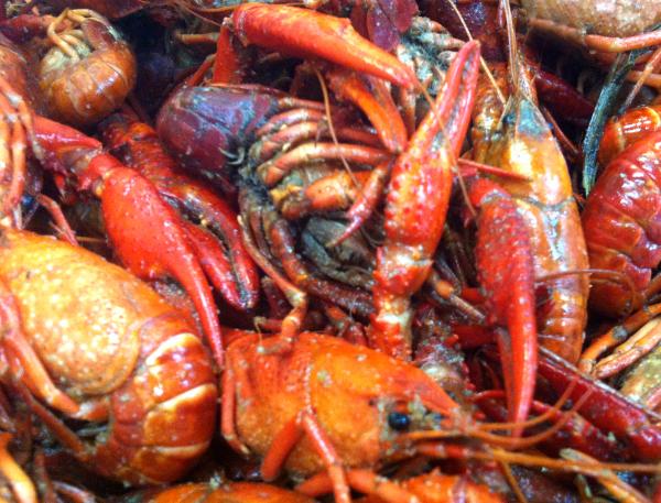 Boiled Crawfish sent in from Deanie's in New Orleans