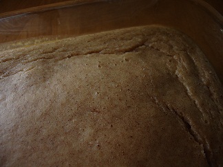 Cinnamon Applesauce Cake