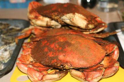 crab 8 1 14
