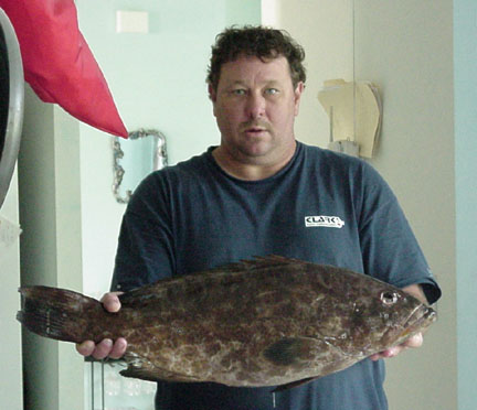 craig's black grouper 2