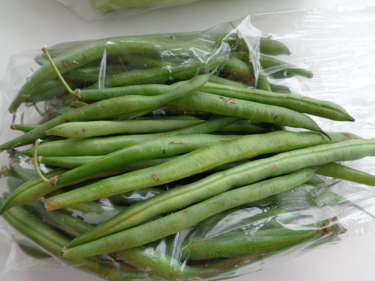 From the KCC Farmer's Market, locally grown Blue Lake Green Beans