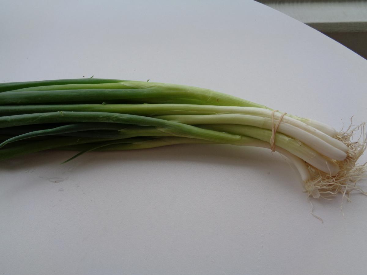 From the KCC Farmer's Market, locally grown, Green Onions