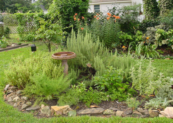 herb garden 506541