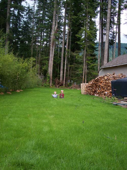 Here's another photo of our yard.  We're hoping to sell this house soon, it'll be a shame to leave this grass behind.  lol.