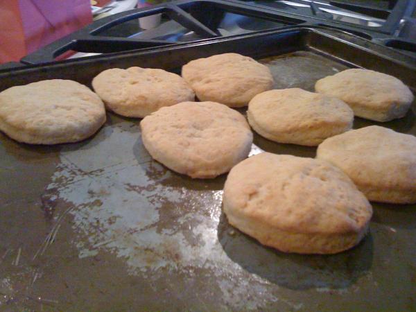 My first attempt at home made biscuits. As you can see, ain't much to write home about. They were very bland and flat :(
