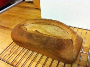 My first loaf of wheat bread.