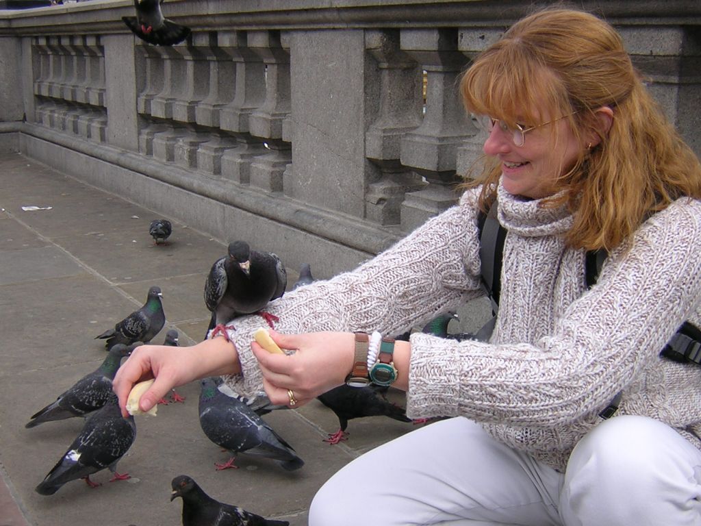 On our last trip to Greece we had a 14 hour layover in London.  We explored the city and I had a blast feeding the birds.