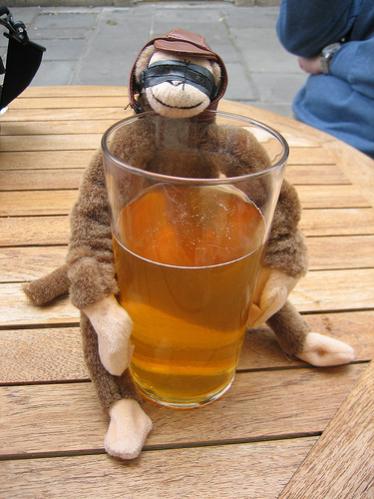 Our monkey, Milton.  He is an alcoholic and loves somerset cider.