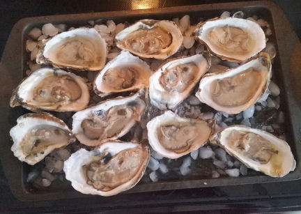 Oysters 3 10 2020