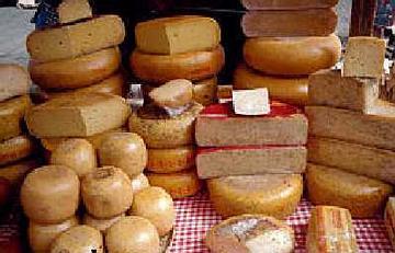 The Cheese Warehouse