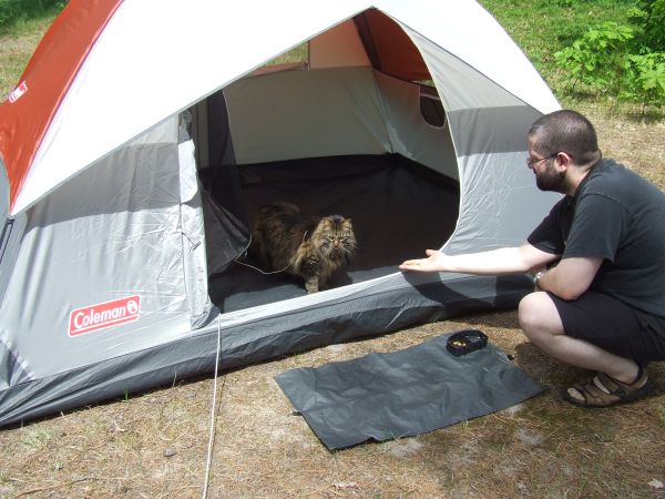 This was the first time we took him camping. When we took him out of his carrier he raced into the tent and wouldn't come out at first. Roland (aka th