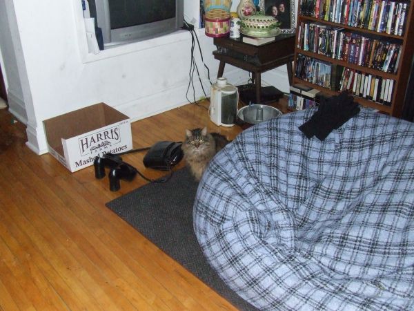 Um, we can see you trying to hide behind the bean bag chair.