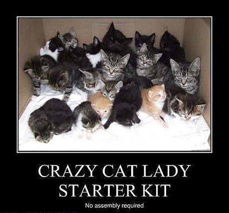 Crazy-cat-lady-starter-kit.jpg