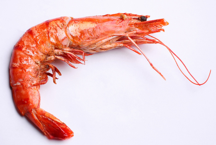 shrimp2.jpg