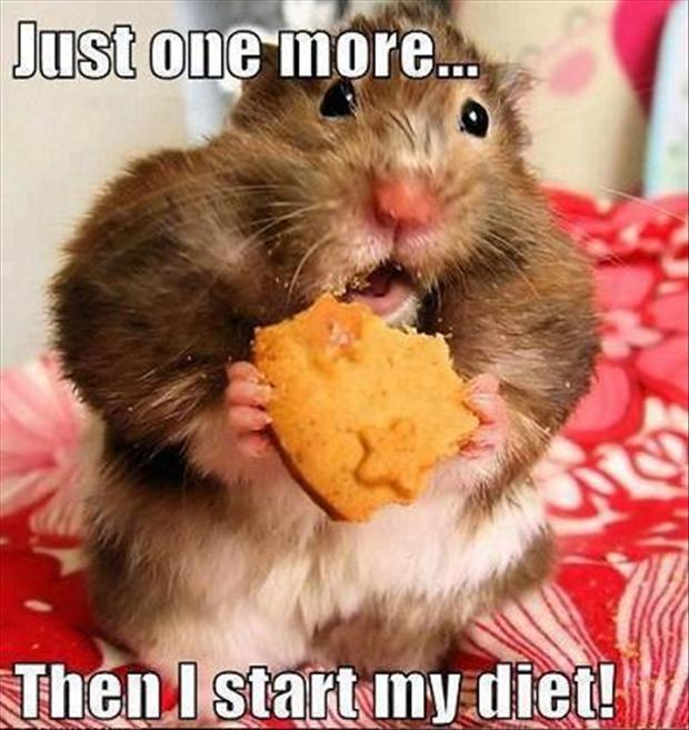 funny-diets-new-years-resolutions.jpg