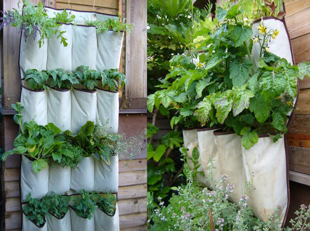 shoe-pockets-diy-vertical-garden.jpg