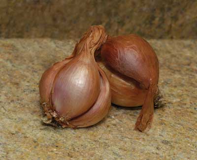 french-red-shallot.jpg