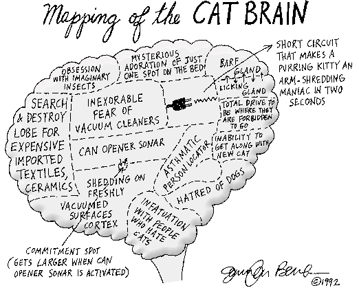 brainmap.gif