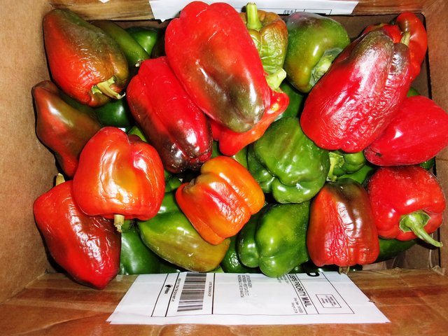 peppers_002.jpg