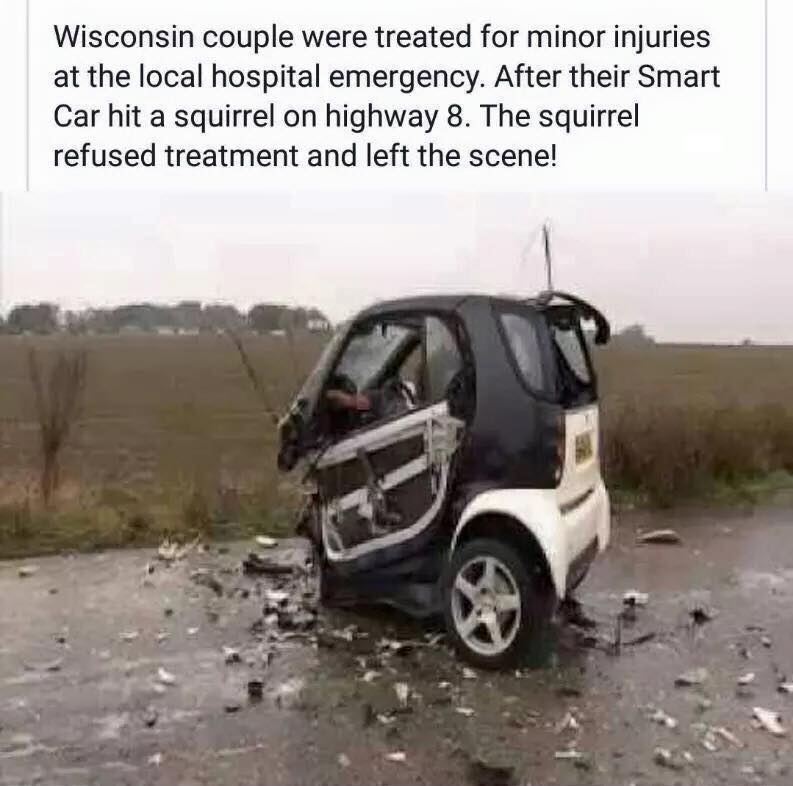 Smart-Car-hit-a-squirrel-on-highway-8..jpg