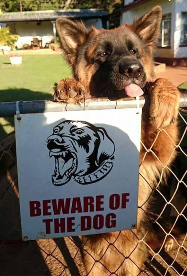 BEWARE OF THE DOG SIGN.jpg