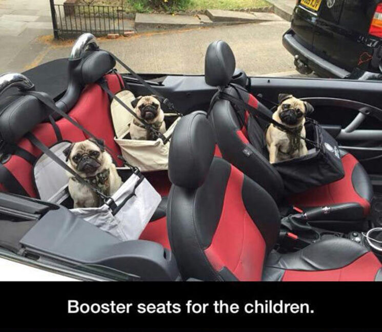 BOOSTER SEATS FOR THE CHILDREN.jpg