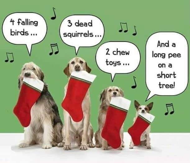 dog's christmas-lyrics.jpg