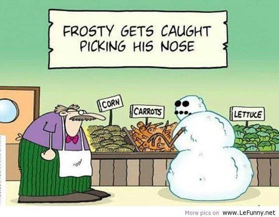 frosty nose.jpg