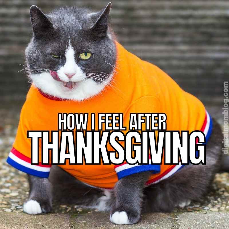 how-i-feel-after-thanksgiving-meme.jpg