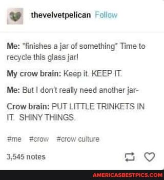jars and crow brain.jpg