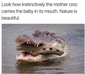 mama croc.png