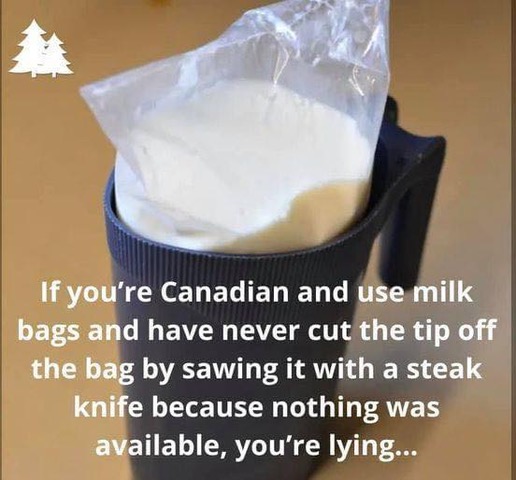 milk bags.jpg