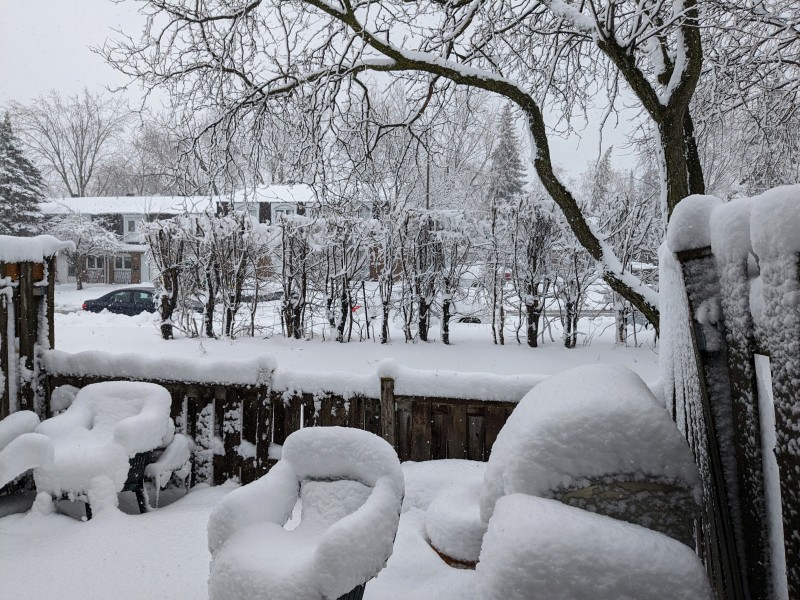 Snow storm - back yard sm.jpg