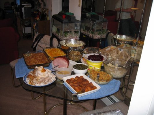 turkey-feast.jpg