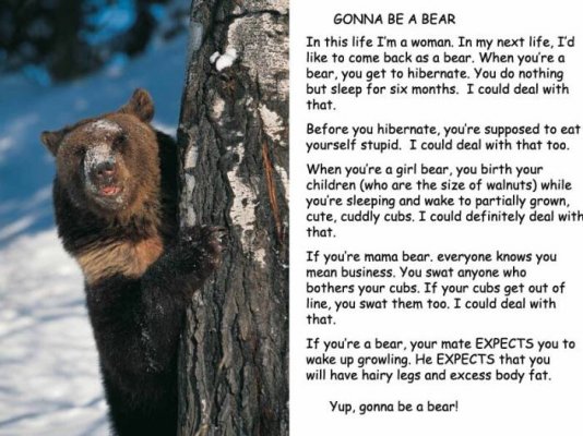 Gonna be a bear.jpg