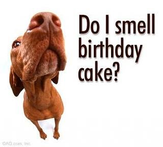 Do I smell birthday cake.jpg