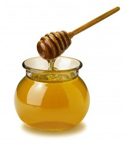 honey-kills-bacteria1-258x300.jpg