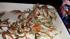 crab carcasses.jpg