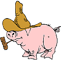 pigbilly.gif