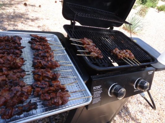 gas grill with teri chicken sticks.jpg
