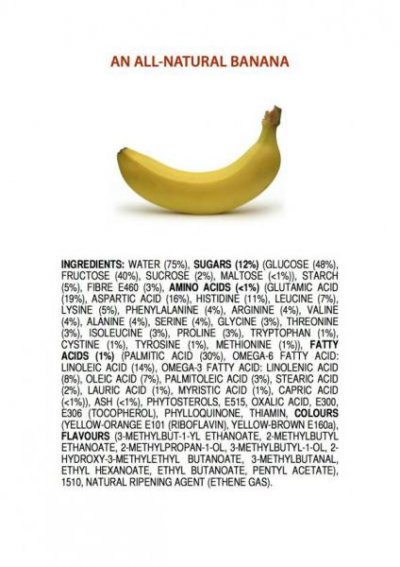 ingredients-of-a-banana-poster-4.jpg
