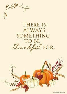 6c657213428447cd178fa62068451871--thanksgiving-quotes-be-thankful.jpg